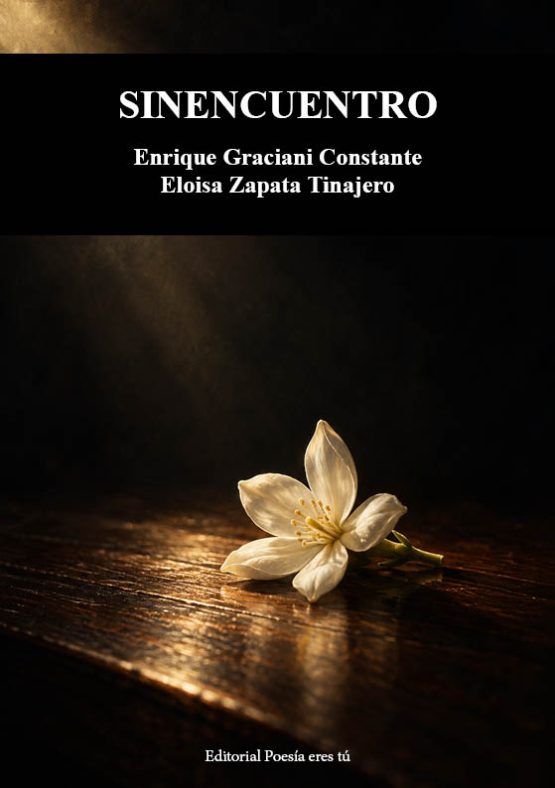 Portada de SINENCUENTRO, de Enrique Graciani Constante y Eloísa Zapata Tinajero